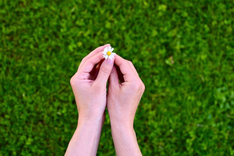 Vogelperspektive auf Hände, die eine Margerite halten