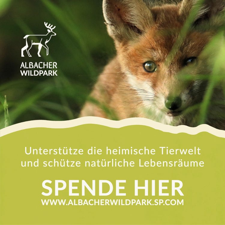 Green Wildlife Conservation Facebook Ad