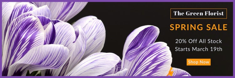 Violet and Black Florist Spring Sale Web Banner