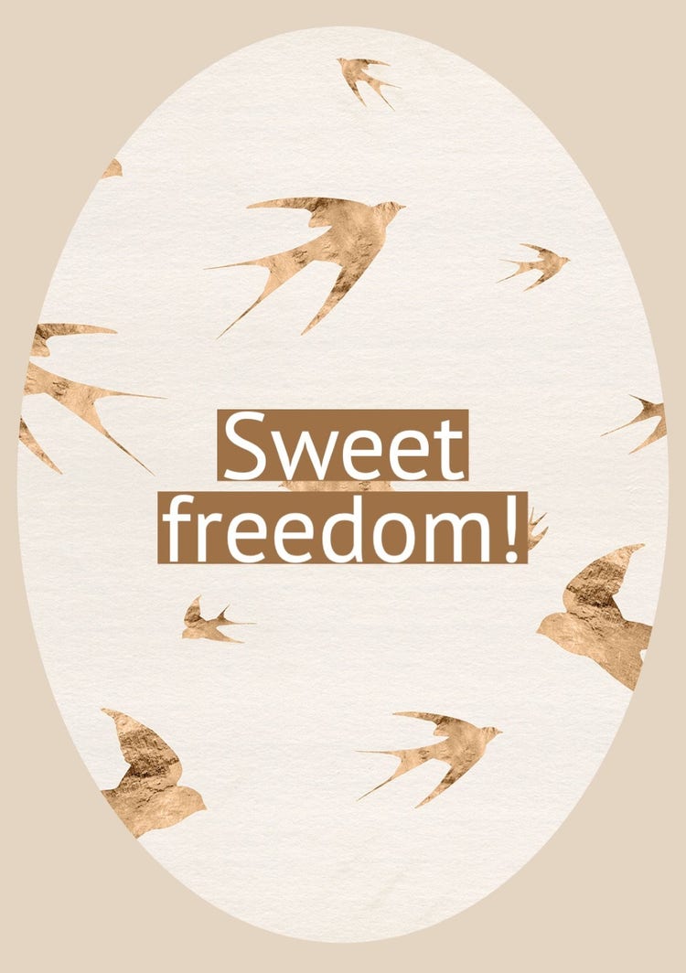 Beige Brown & White Sweet Freedom Birds Retirement A5 Greeting Card