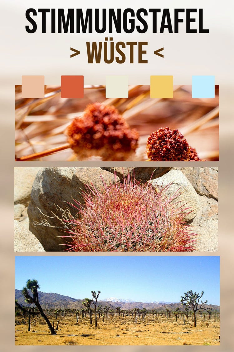 Sandy Desert Moodboard Pinterest Post