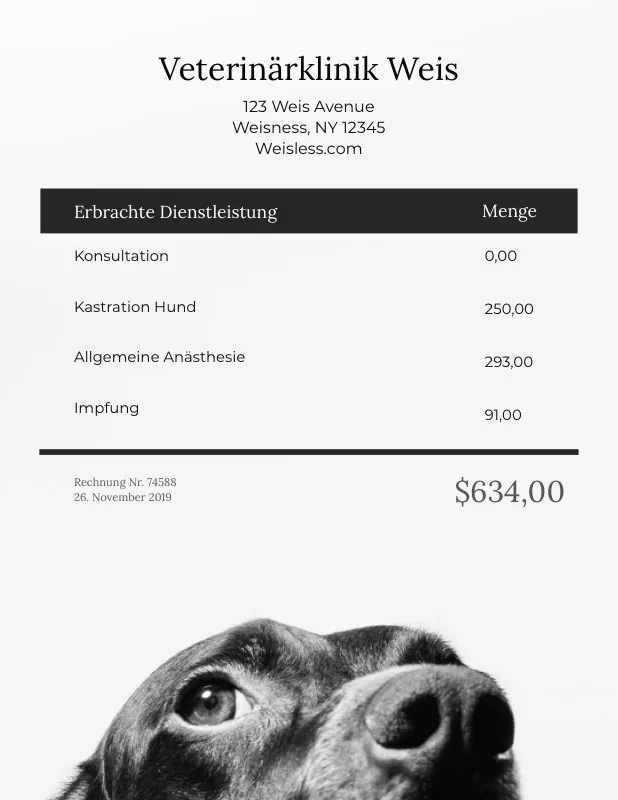 veterinarian invoice 