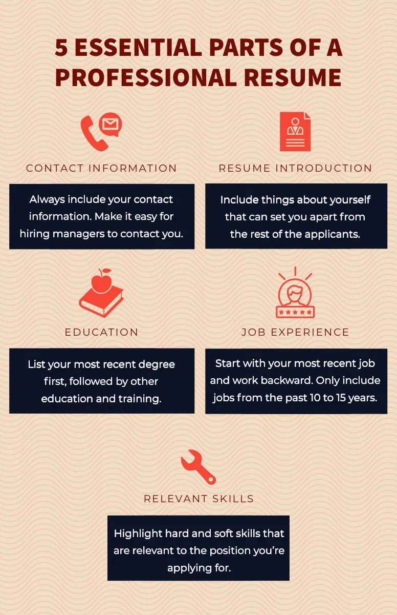 Pink and Navy Blue Professional Resume Infographic 