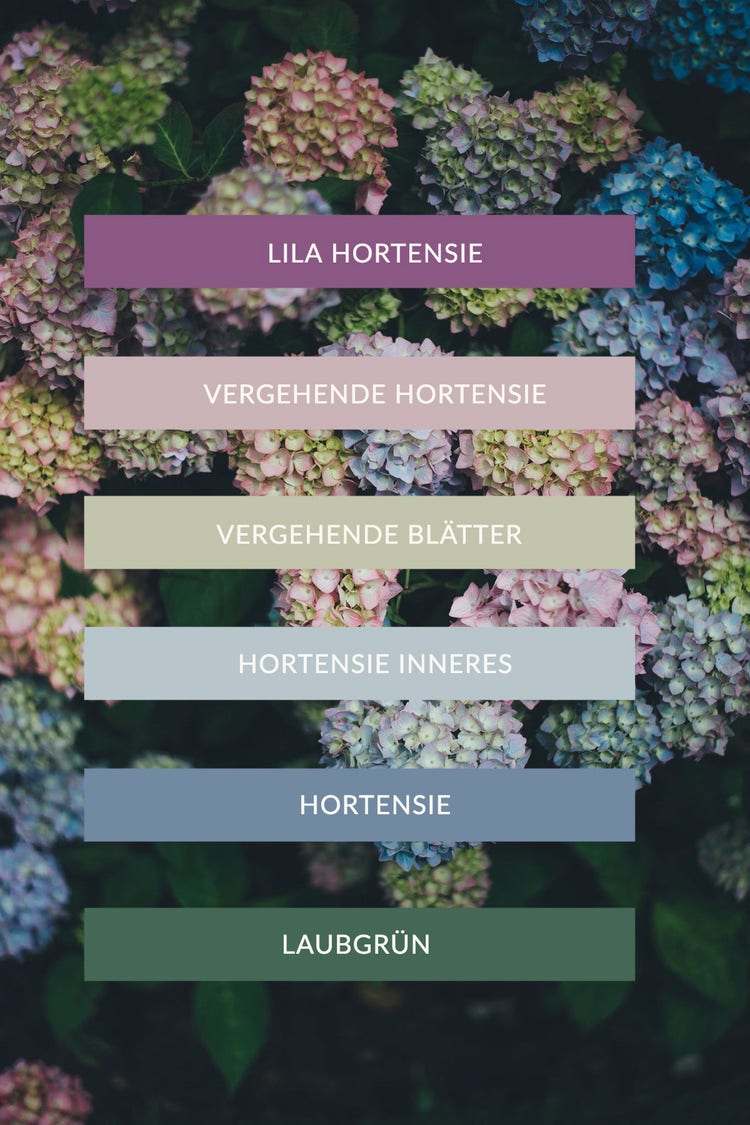 Hydrangea Floral Color Palette Pinterest Post