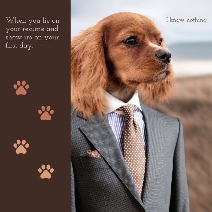 Business and Employment Instagram Square Meme with Dog in Suit Dog Meme