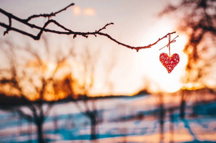 Kreative Neujahrswünsche: Ideen & Sprüche für Neujahrsgrüße.