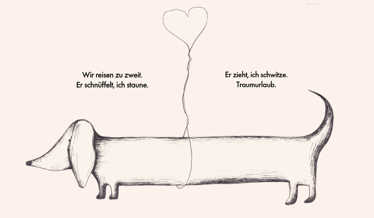 Hundezitate über Liebe, Loyalität und das Leben mit dem besten Freund des Menschen.