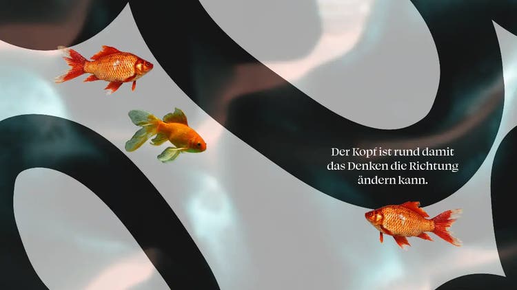 Veränderungssprüche für neue Perspektiven.