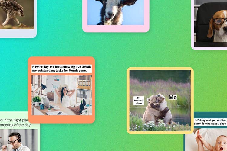 Meme marketing: Humor in deine Marketingstrategie | Adobe Express