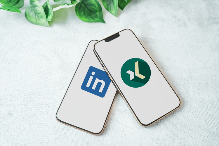 Xing oder LinkedIn, was passt besser zu meinen Bedürfnissen?