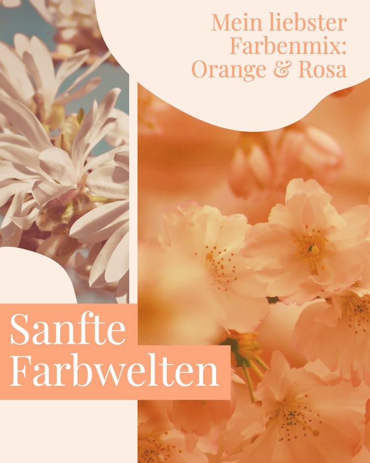 Orange and Pink Soft Color Palette Moodboard Pinterest Post