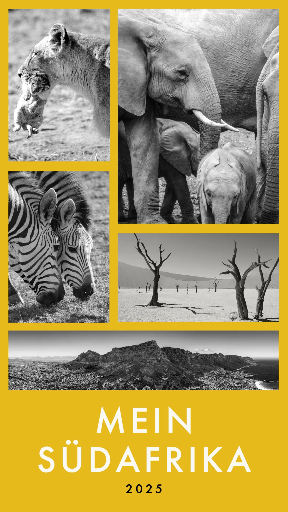 Yellow Black and White Photo grid Instagram Story Collage