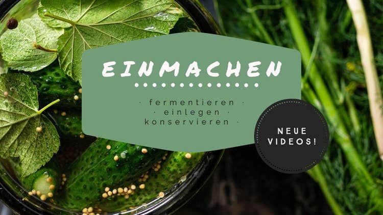 Green Preserved Food Pickles Youtube Channel Banner