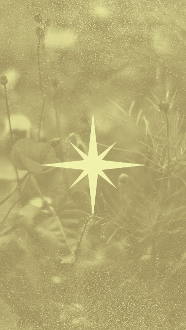 A picture of flowers with a sage green overlay and an 8-point star in the middle