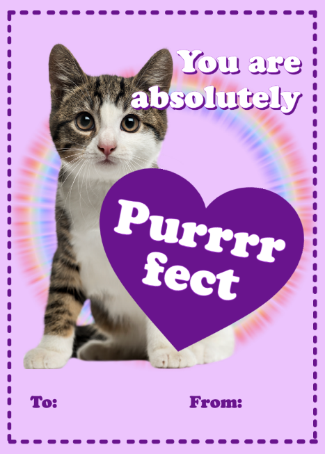 A cat with a heart shaped sign Description automatically generated