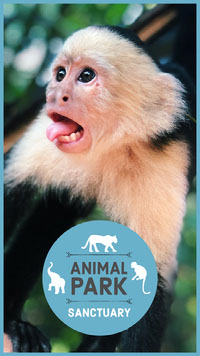 A monkey holding a sign Description automatically generated with medium confidence