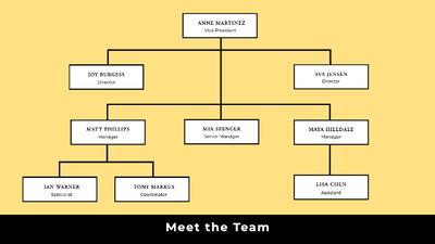 A chart with white rectangular boxes Description automatically generated with medium confidence