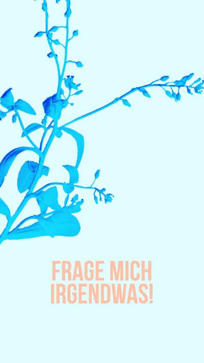 Blue and Peach Floral Question Instagram Story