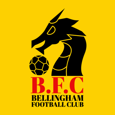 A black dragon with a ball on a yellow background Description automatically generated