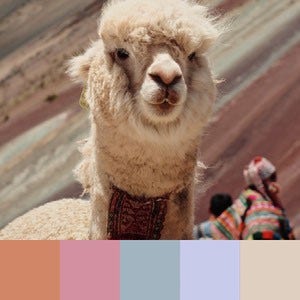 Color Palettes | Pastels 5 101 Brilliant Color Combos