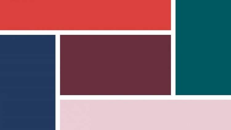 A colorful palette of different colors Description automatically generated with medium confidence