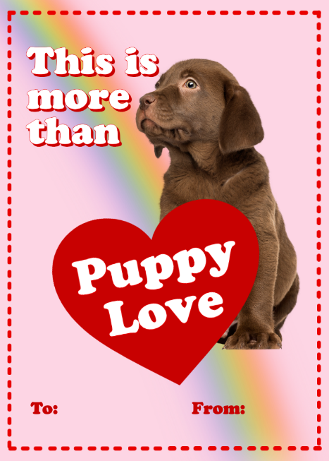 A dog looking up to a heart Description automatically generated