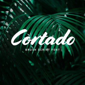 Green Palm Leaf Brush Font Logo Brand Square Graphic 32 Cool Calligraphy & Script Fonts