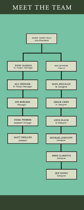 A chart of a company Description automatically generated