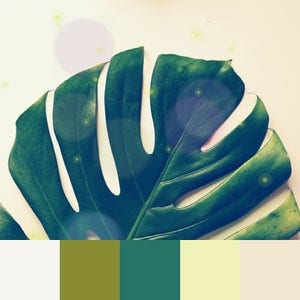Color Palettes | Earthy 1 101 Brilliant Color Combos