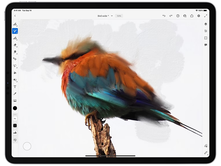 Die Mobile App für digitales Malen und Zeichnen | Adobe Fresco