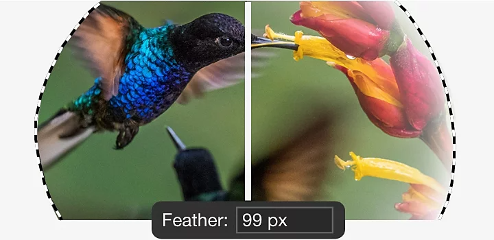 Ein geteiltes Bild eines Kolibris, das den Vorher-Nachher-Vergleich mit weicher Kante zeigt.