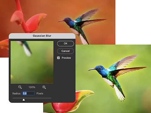 Ein Bild eines Vogels mit einem Weichzeichner-Effekt an den Kanten.