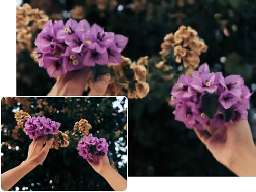 Ein Foto von zwei Händen, die Blumen halten
