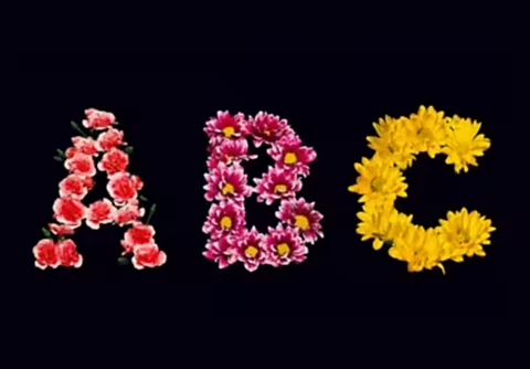 Ein Beispiel für eine blumige Schrift.