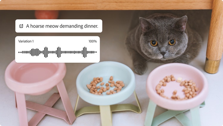 En kat af racen british shorthair, der gemmer sig under et bord med Firefly-lydgeneratorens lydbølgeform og beskrivelsesfelt med ordene "et hæst mjav, der kræver mad", viser, hvordan man genererer AI-lydeffekter med kattemjaven.