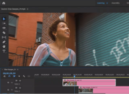 https://main--cc--adobecom.aem.live/cc-shared/assets/video/product/premiere/media_11ac81e83d77e7f9d8e15b96c0e32b726b0c2069d.mp4#_autoplay|null