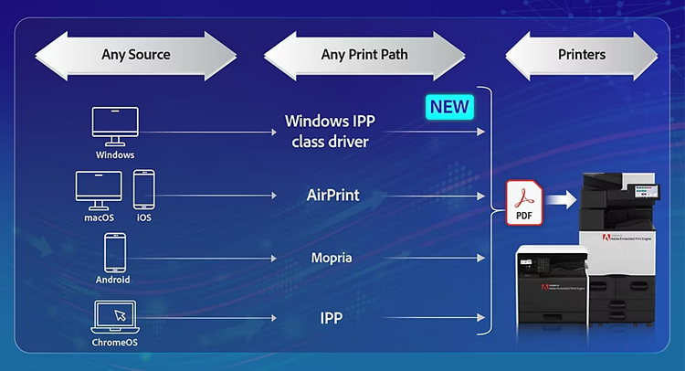 the process of printing