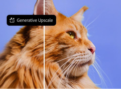 https://main--cc--adobecom.aem.page/cc-shared/assets/video/product/photoshop/max2025/media_1e653ddf52851e647c436ebd02cf2f891e33b1b55.mp4#_autoplay1 | Short video highlighting Generative Upscale.