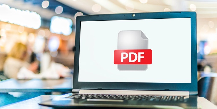 Foto de un ordenador portátil abierto con el logotipo PDF visible en la pantalla.