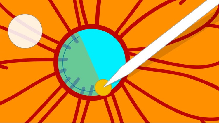 Lápiz táctil dibujando el centro de una flor