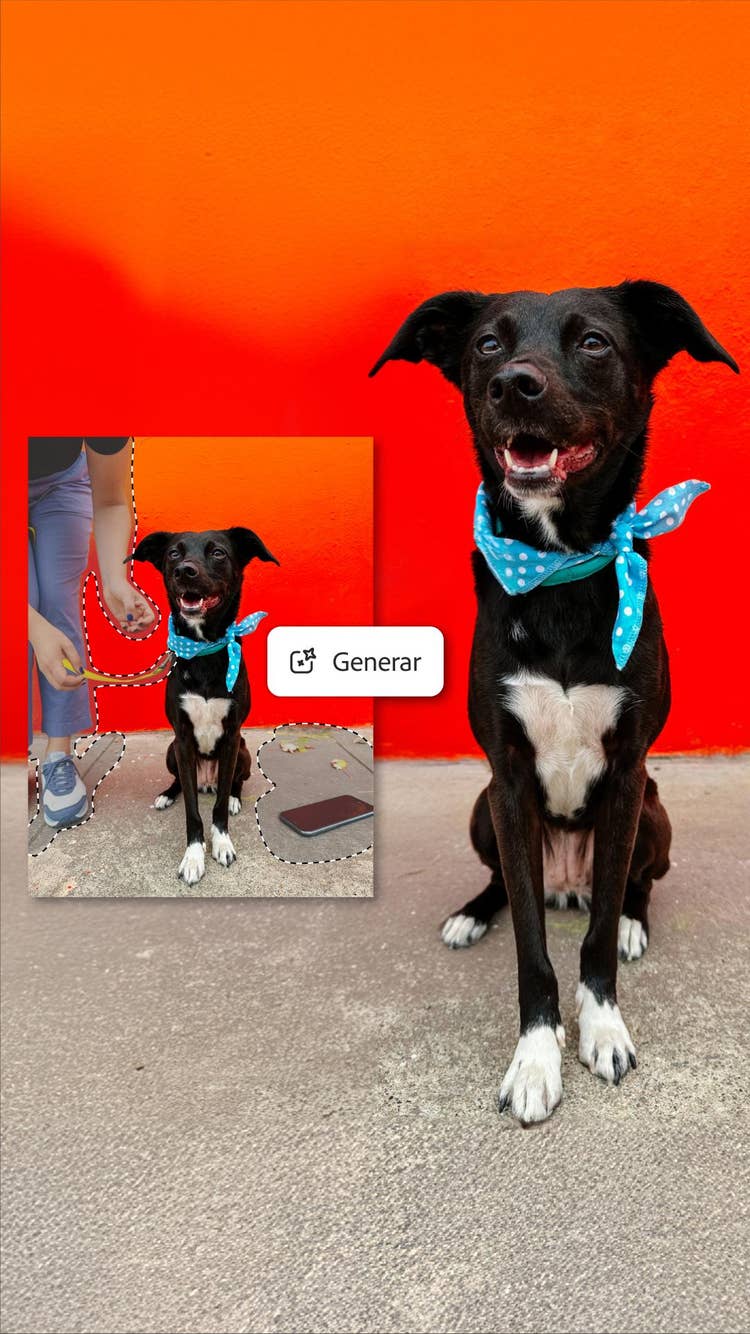 Breve vídeo que muestra cómo eliminar distracciones de fotos en la aplicación de edición de fotos Photoshop.