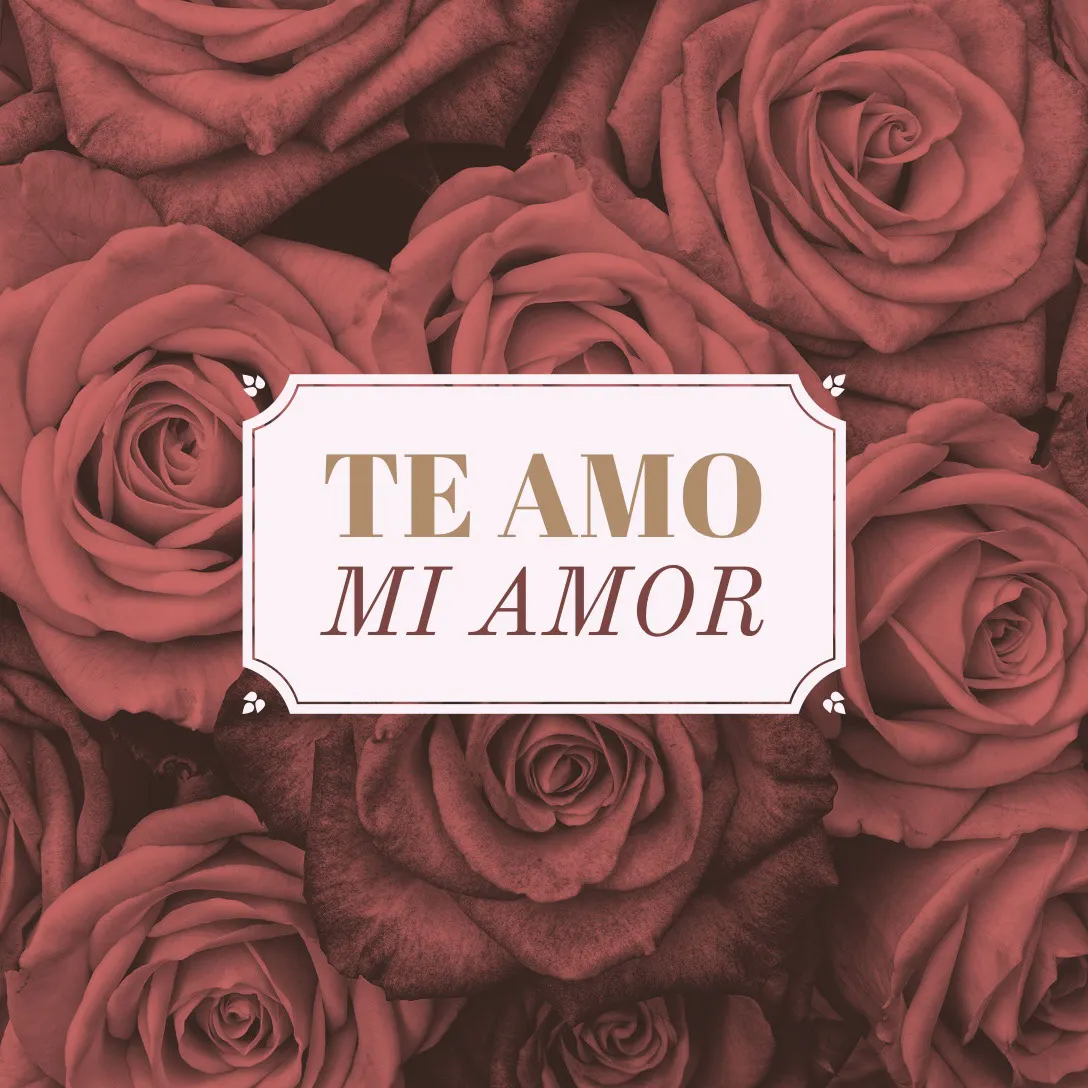 Red and White Spanish Love Square Instagram Graphic with Roses