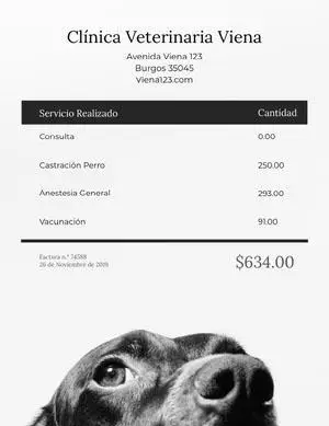 veterinarian invoice  Factura