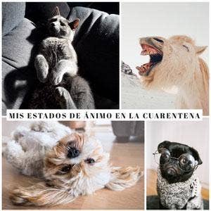 Mis estados de ánimo en la cuarentena Meme