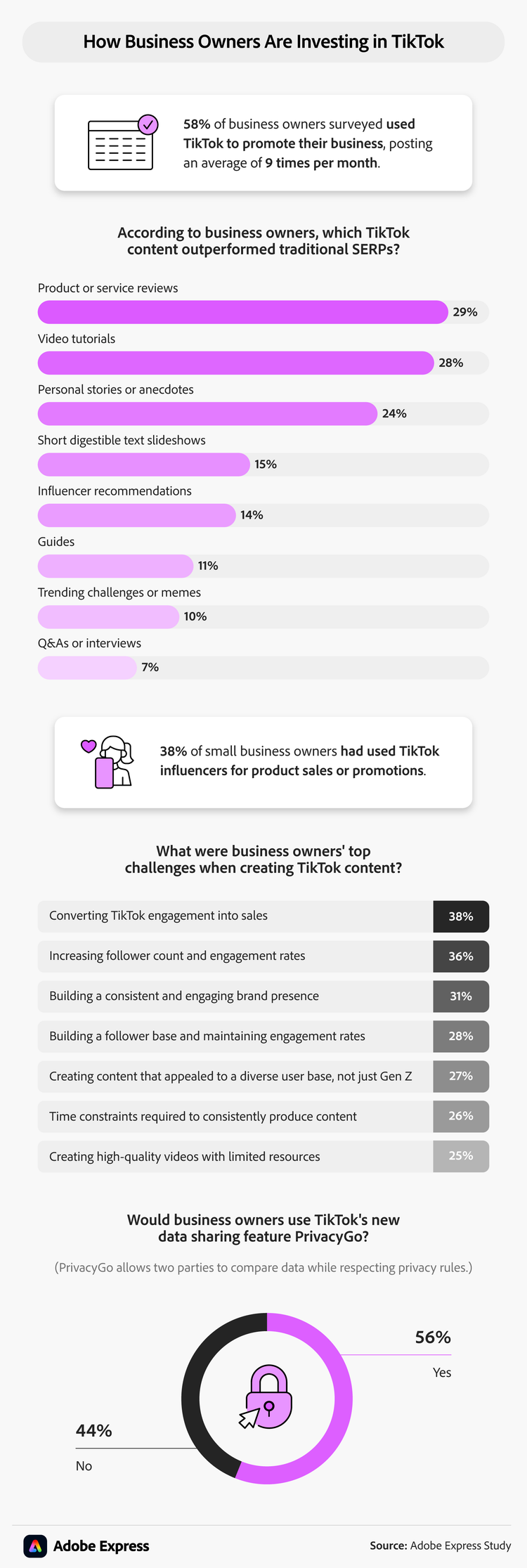 infographic showing how business owners are investing in TikTok