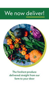 Green Fresh Produce Delivery Service Instagram Story Ad with Photo of Vegetables COVID-19 Re-opening