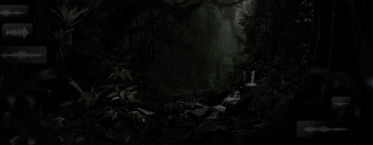 Una escena en un bosque brumoso con formas de onda de audio superpuestas que apuntan al uso de un generador de efectos de sonido para sincronizar el audio.