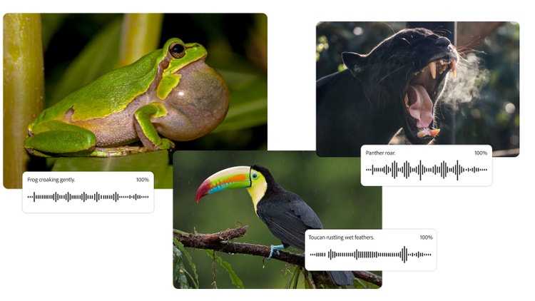Tres imágenes de animales acompañadas de formas de onda de audio y las indicaciones de texto “rana croando bajito”, “tucán agitando sus plumas húmedas” y “rugido de pantera” que se han empleado para generar efectos de sonido realistas de animales con IA en Firefly.