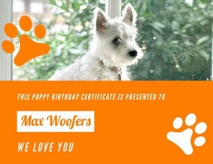 Orange and Cute Dog Birthday Certificate Birthday Certificate
