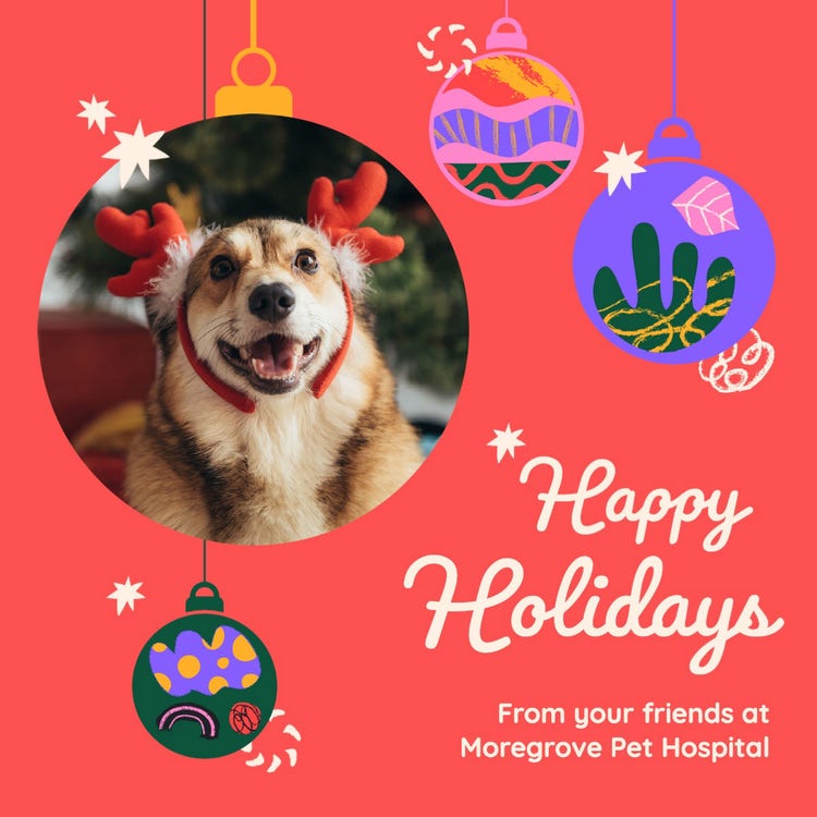 Red Bright Playful Holiday Pet Feature Social Post
